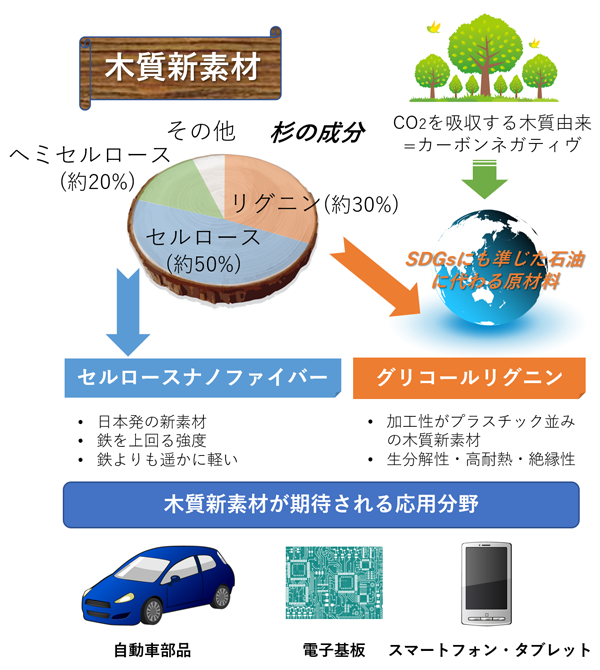 リグニンとは？画像